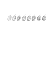 r484-g castel-twincut-4 part diagram