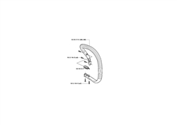 husqvarna-345-chainsaw husqvarna-petrol-chainsaws part diagram