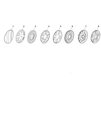 hp474 mountfield-petrol-rotary-mowers part diagram