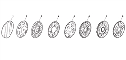 sp184 mountfield-petrol-rotary-mowers part diagram